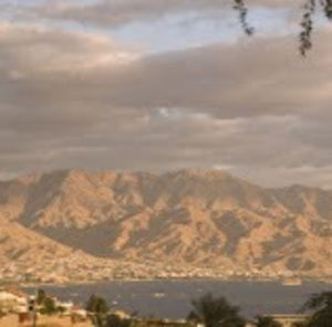 Meet your Posher, Vickie